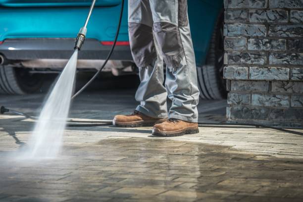 Best Driveway Pressure Washing  in Arlington Heights, PA